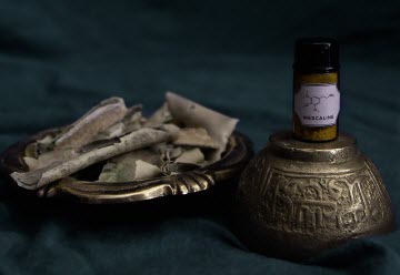  إم كي ألترا، المشروع الفرعي ٧, featured image 360 by 248