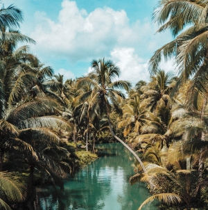 سلام الترجمان , featured image 300 by 302