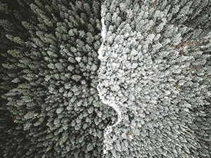  في ما يقسم العدد، ثابت بن قرة, featured image 300 by 225