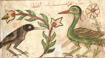  كليلة ودمنة، باب الناسك والضيف, featured image 361 by 200