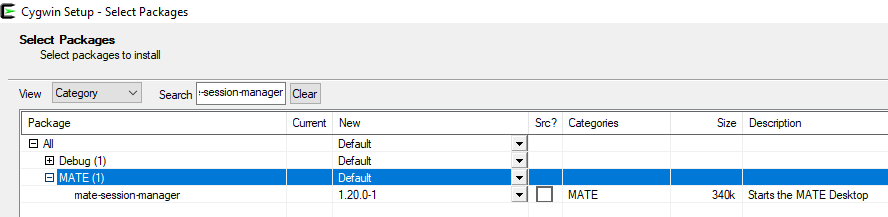 Desktop envrionment installation