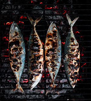  grilled fish, featured image 300 by 333