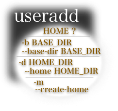 How to assign a home directory , using useradd , featured image 243 by 230