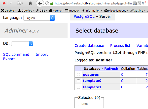 adminer postgresql
